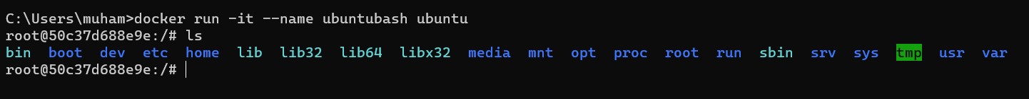 Running a Docker container in interactive (-it) mode